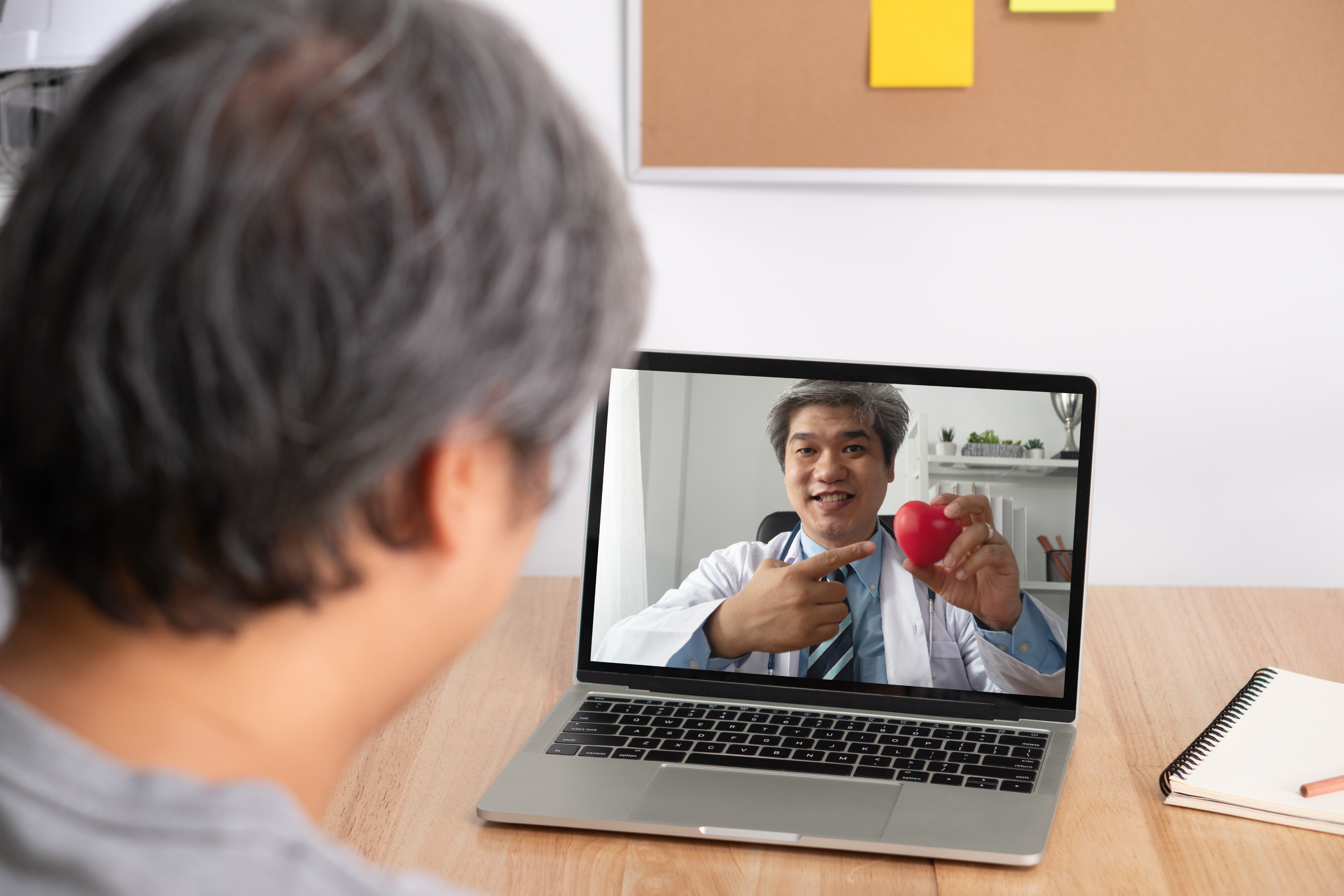 Telehealth consultation